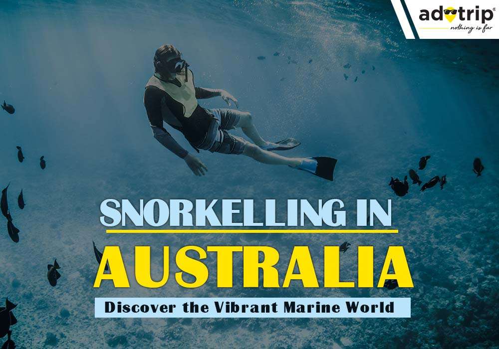 Snorkelling in Australia